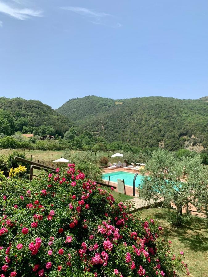 Podere Le Mulina Castiglione dʼOrcia Екстериор снимка