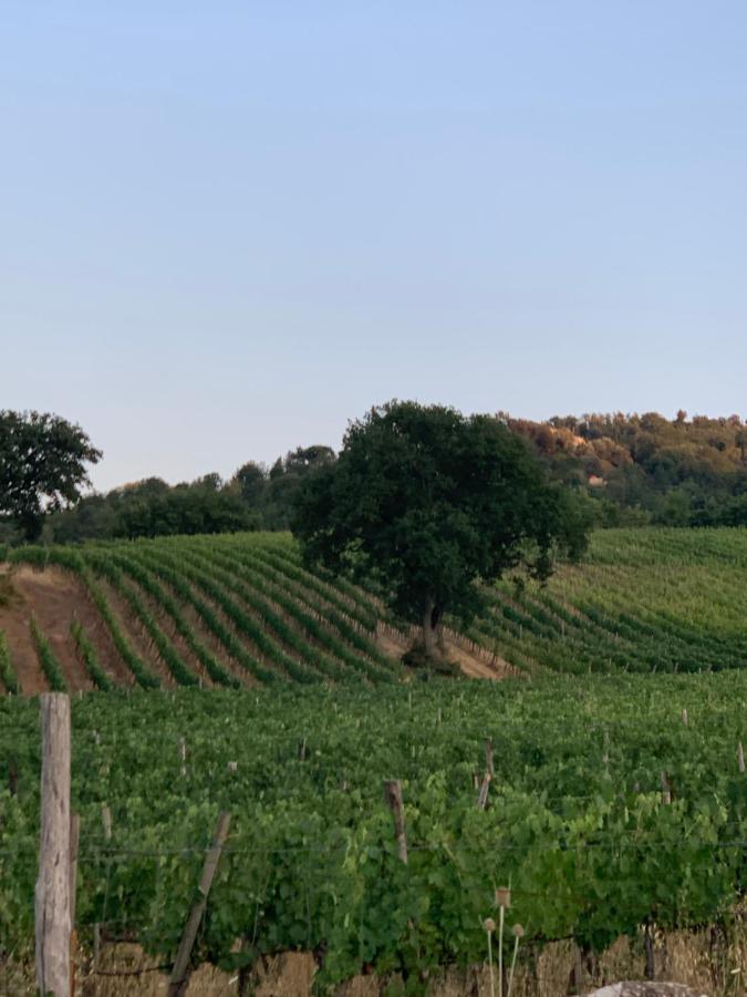 Podere Le Mulina Castiglione dʼOrcia Екстериор снимка
